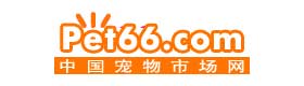 中国宠物市场网