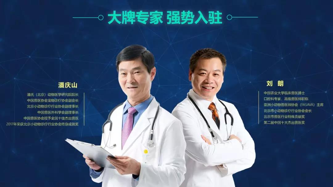 国内顶级专家入驻宠医云