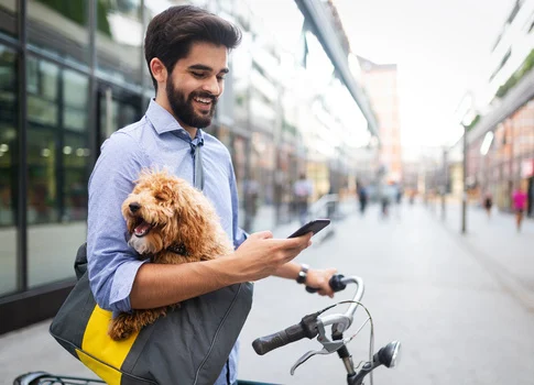 Dog marketing_feature.webp