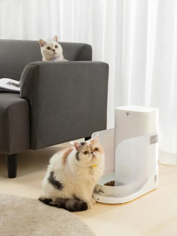 CATLINK为你智能管理养猫生活
